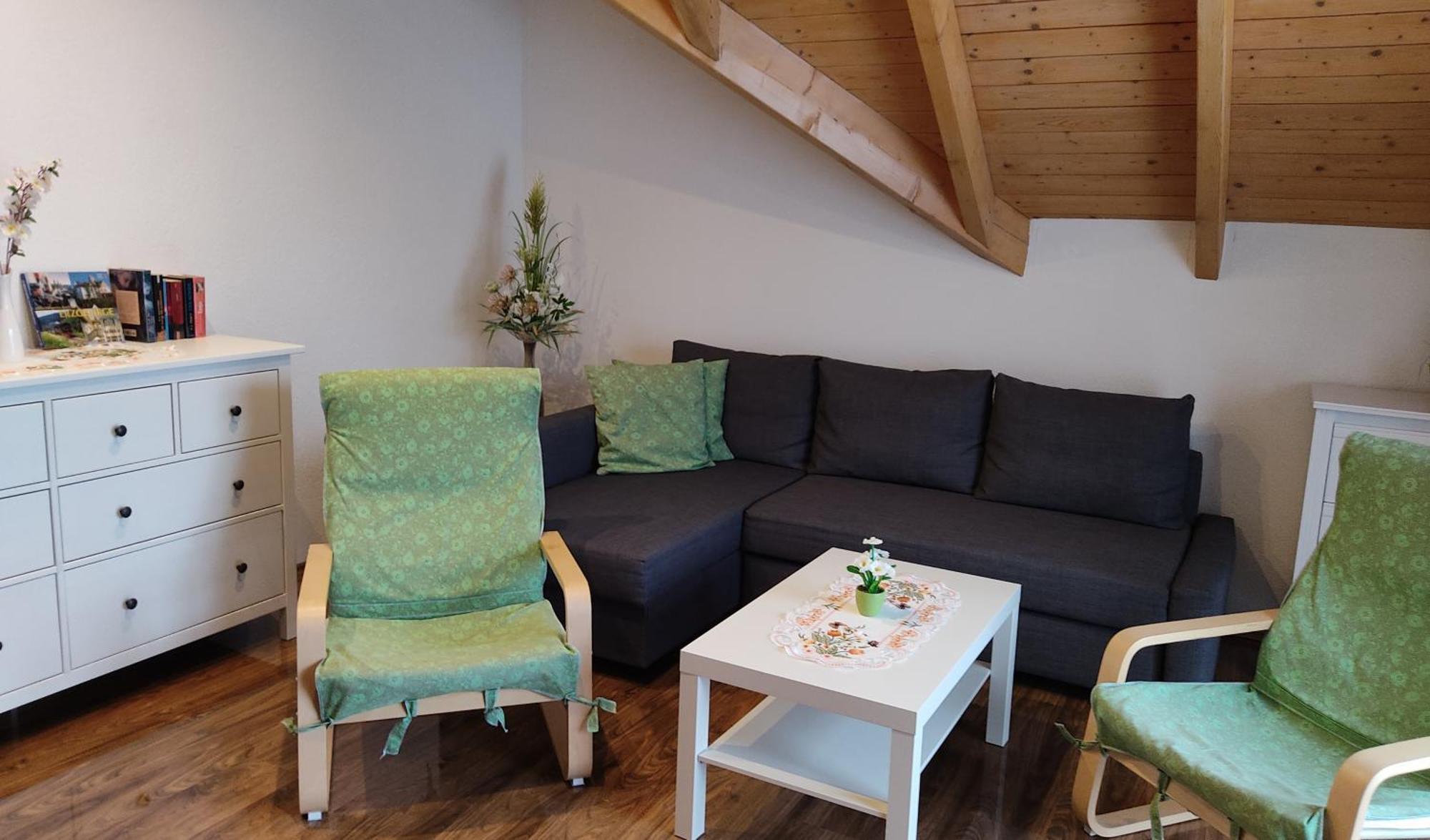 Gemuetliche Ferienwohnung Im Schoenen Erzgebirge - Wohnung Fruehling アイベンシュトック エクステリア 写真